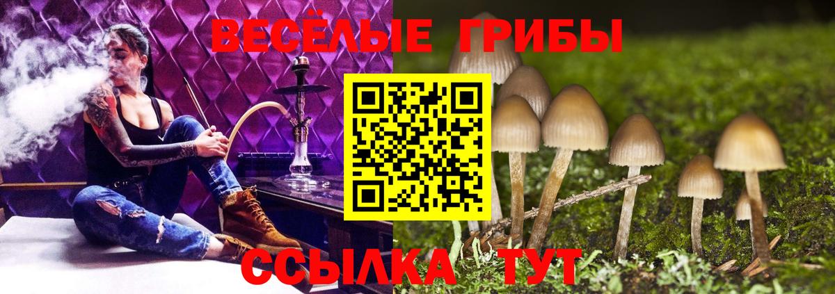 где продают   Галлюциногенные грибы Magic Shrooms  Вход с VPN  Нижнеудинск 